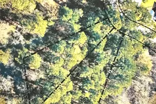 000 St Lawrence River Rd, Conroe, TX 77316 - Photo 8