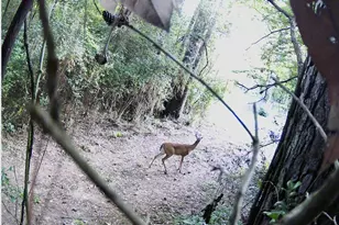 000 St Lawrence River Rd, Conroe, TX 77316 - Photo 2