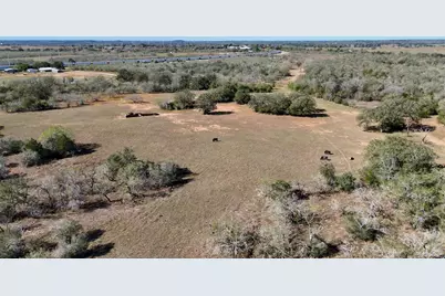 Tract 2 County Road 283, Harwood, TX 78632 - Photo 4