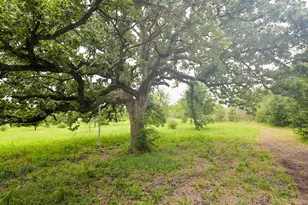 12029 Eagle Ln, North Zulch, TX 77872 - Photo 24