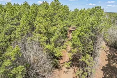 0 Sid Dennis Lane, San Augustine, TX 75972 - Photo 24