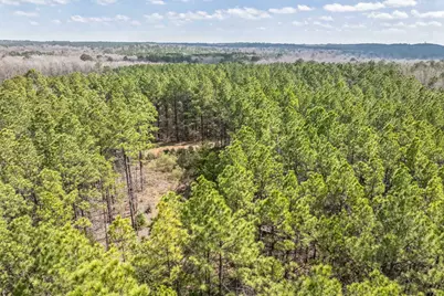 0 Sid Dennis Lane, San Augustine, TX 75972 - Photo 26