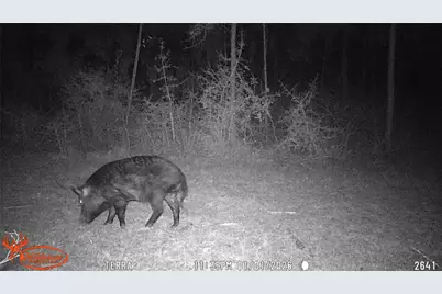 000 Fm 1005, Jasper, TX 75951 - Photo 10