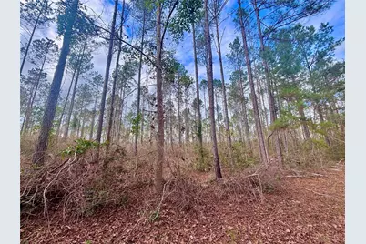 000 Fm 1005, Jasper, TX 75951 - Photo 4