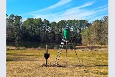 3901 County Road 1585, Grapeland, TX 75844 - Photo 12