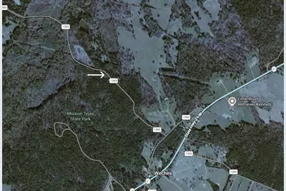 3901 County Road 1585, Grapeland, TX 75844 - Photo 50