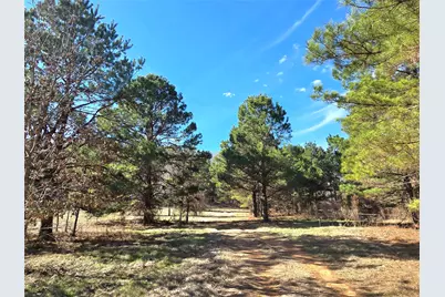 3901 County Road 1585, Grapeland, TX 75844 - Photo 8
