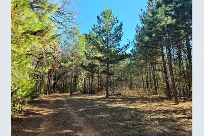 3901 County Road 1585, Grapeland, TX 75844 - Photo 2