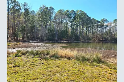 3901 County Road 1585, Grapeland, TX 75844 - Photo 14