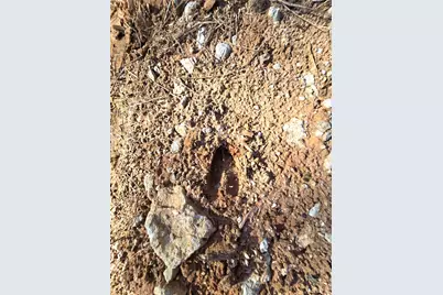 3901 County Road 1585, Grapeland, TX 75844 - Photo 22