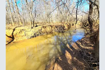 3901 County Road 1585, Grapeland, TX 75844 - Photo 46