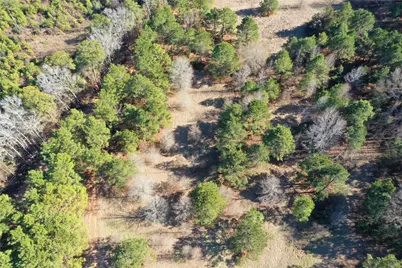 3901 County Road 1585, Grapeland, TX 75844 - Photo 36