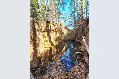 3901 County Road 1585, Grapeland, TX 75844 - Photo 18