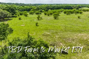Tbd Farm To Market 1371, Chappell Hill, TX 77426 - Photo 1