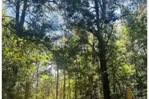 Lot 715 & Lot 716 N Royal Estates Dr, Conroe, TX 77303 - Photo 10