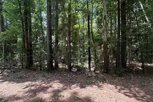 Lot 715 & Lot 716 N Royal Estates Dr, Conroe, TX 77303 - Photo 2