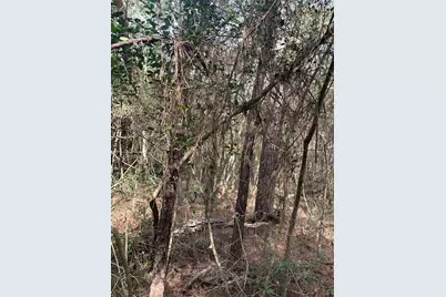 19 Pavlock Road, Navasota, TX 77868 - Photo 8