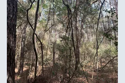 19 Pavlock Road, Navasota, TX 77868 - Photo 12