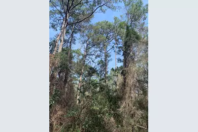 19 Pavlock Road, Navasota, TX 77868 - Photo 10