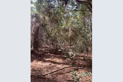 19 Pavlock Road, Navasota, TX 77868 - Photo 18