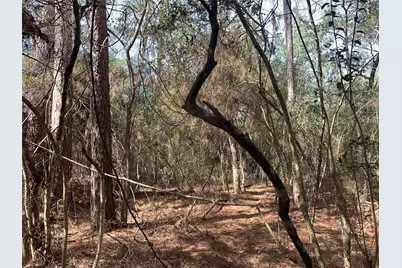 19 Pavlock Road, Navasota, TX 77868 - Photo 14