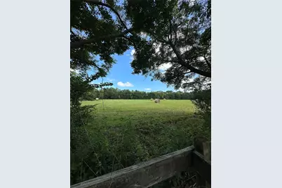 1355 County Road 145, Alvin, TX 77511 - Photo 4