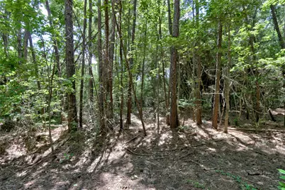 258 Heartland Road, New Waverly, TX 77358 - Photo 16