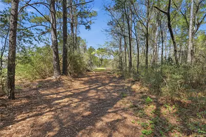 27390 Fm 1097 West, Montgomery, TX 77356 - Photo 16