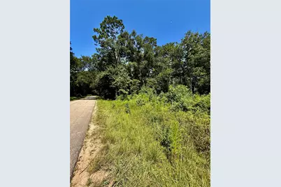 Tbd Lot 1 Rolling Hills Drive, Porter, TX 77365 - Photo 2