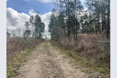 Tbd Three Bridges Road, Livingston, TX 77351 - Photo 10