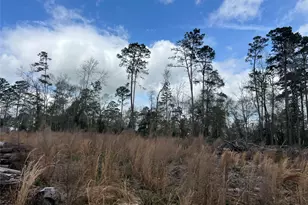 Tbd Three Bridges Rd, Livingston, TX 77351 - Photo 1