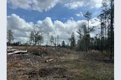 Tbd Three Bridges Road, Livingston, TX 77351 - Photo 8