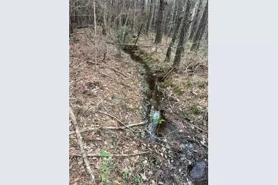 Tbd Three Bridges Road, Livingston, TX 77351 - Photo 18