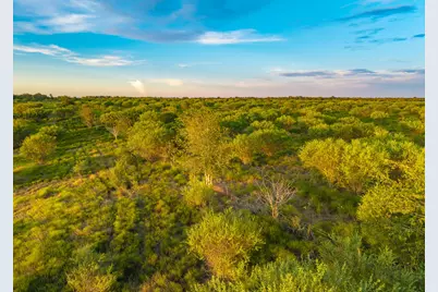 Tbd Guettermann-Ehler Road, Flatonia, TX 78941 - Photo 12
