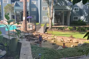 12500 Melville Dr, Montgomery, TX 77356 - Photo 14