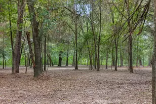 4986 Old Wagon Ln, Richards, TX 77873 - Photo 28