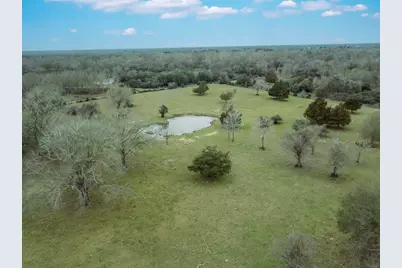 37462 Vaclavik Road, Pattison, TX 77423 - Photo 6