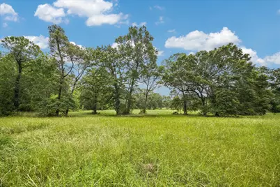 11051 Superior Lane, Magnolia, TX 77354 - Photo 8