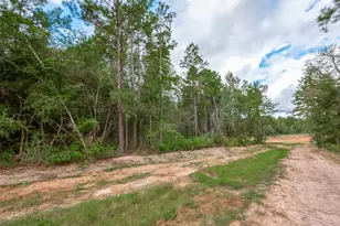 8100 High Meadow Ridge Ct, Montgomery, TX 77316 - Photo 1