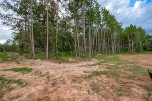 8100 High Meadow Ridge Ct, Montgomery, TX 77316 - Photo 14