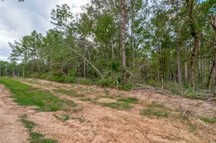 8100 High Meadow Ridge Ct, Montgomery, TX 77316 - Photo 2