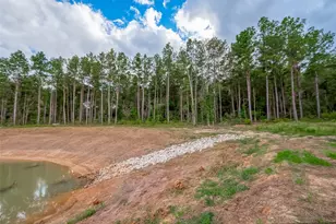 8100 High Meadow Ridge Ct, Montgomery, TX 77316 - Photo 8