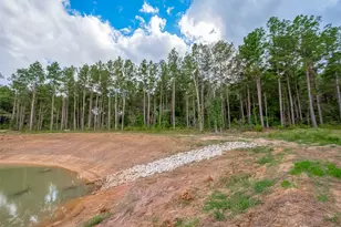 8100 High Meadow Ridge Ct, Montgomery, TX 77316 - Photo 10