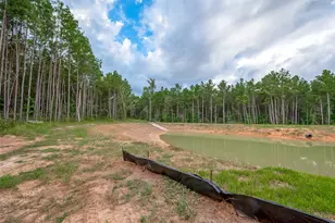 8100 High Meadow Ridge Ct, Montgomery, TX 77316 - Photo 12