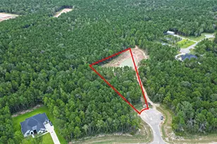 8100 High Meadow Ridge Ct, Montgomery, TX 77316 - Photo 22