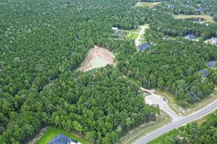 8100 High Meadow Ridge Ct, Montgomery, TX 77316 - Photo 20