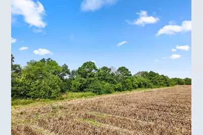 0 Oberrender Road, Needville, TX 77461 - Photo 16