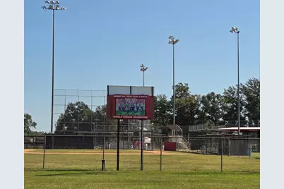 25738 Ipes Road, Splendora, TX 77372 - Photo 46