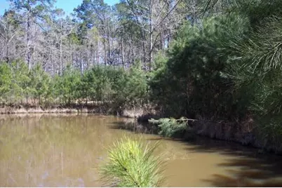 4214 Highland Lakes, Montgomery, TX 77316 - Photo 4