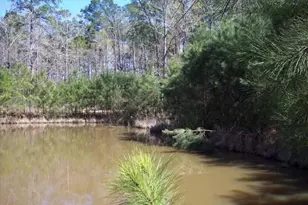 4214 Highland Lakes, Montgomery, TX 77316 - Photo 4